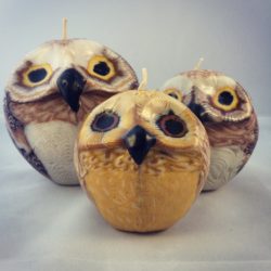 Ethical owl candles