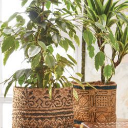 two jute plant holders