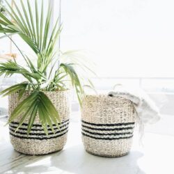 2 seagrass baskets with 3 thin black stripes and handles with plants inside