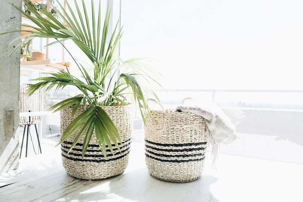 2 seagrass baskets with 3 thin black stripes and handles with plants inside
