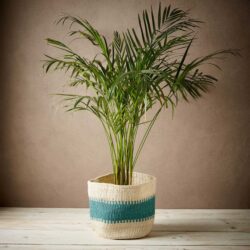 Ethical woven basket with teal railway strip around the middle